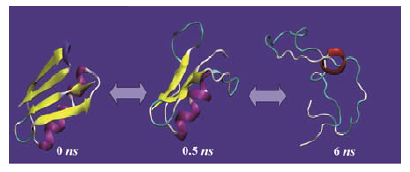 lysozyme